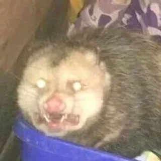 👺