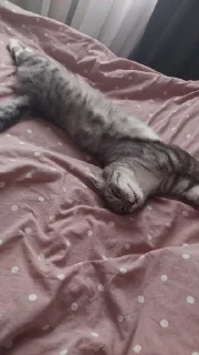 🕺