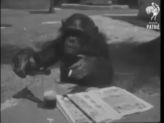 🍺