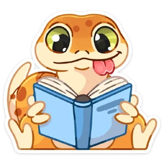 📚
