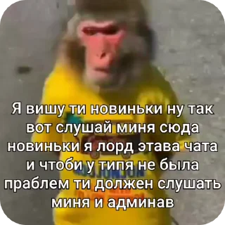🌟