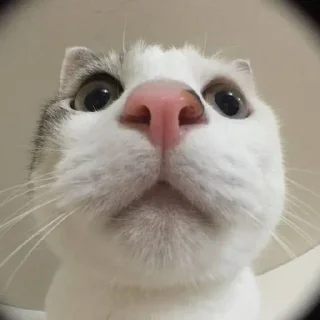 😟