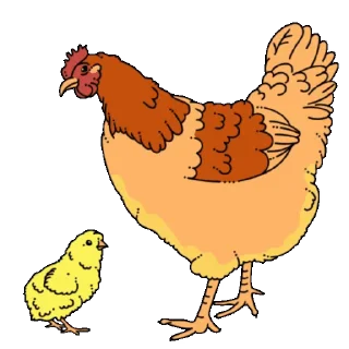 🐣