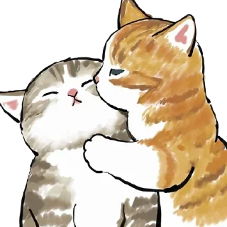 😽