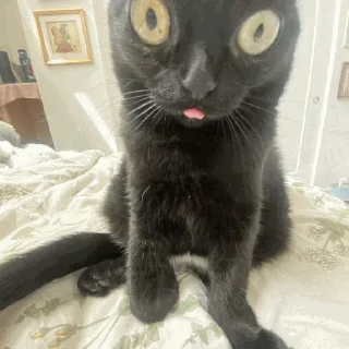 😳