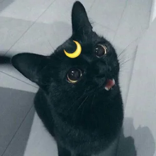 😺