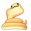🐍