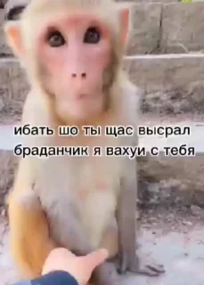 😁