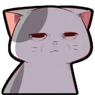 🐈