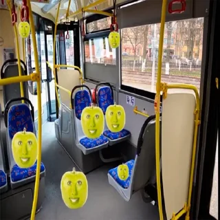 🚍