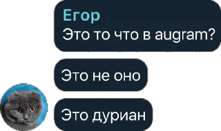 🍅