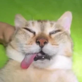 😂