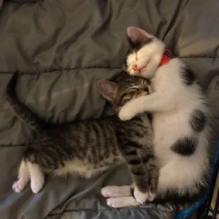😴