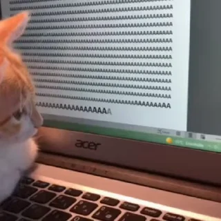⌨️