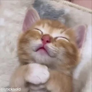 😁