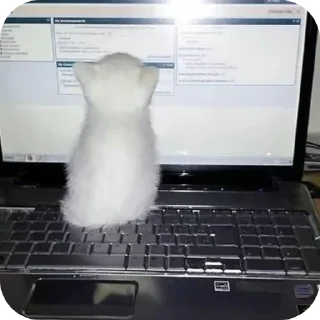 🖥