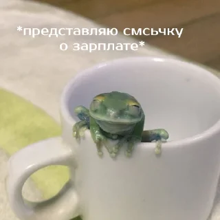🙏