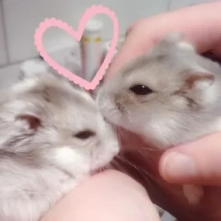🥰