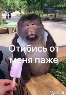 😁