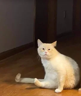 😕