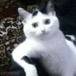 😕