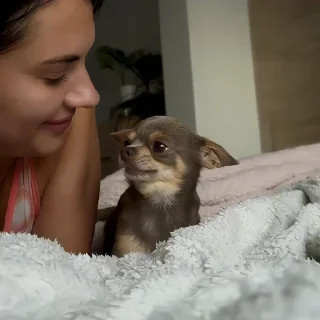 🐶