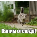 🏃