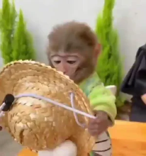 😍