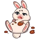 🍪