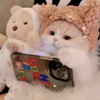 🐻