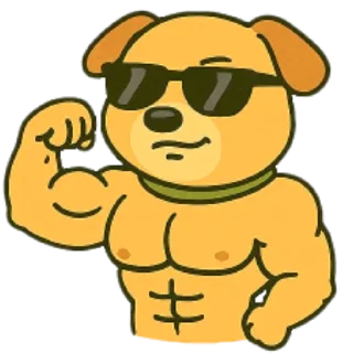 💪