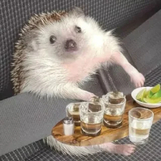 🥃