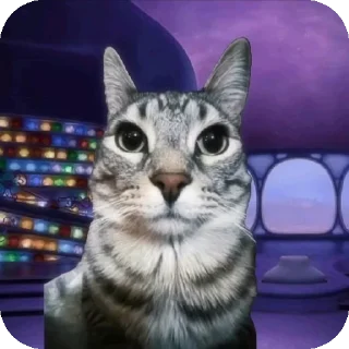 🐱