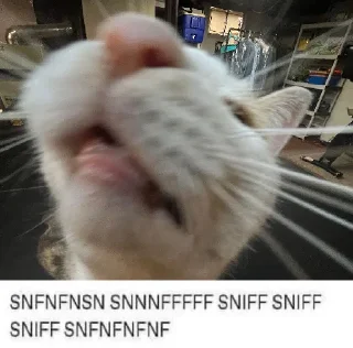 👃