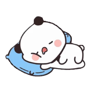 💤