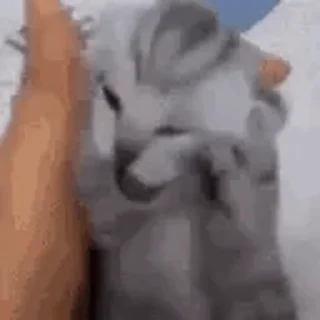 😩