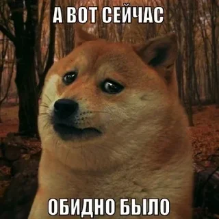 😢