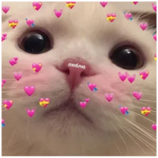 💓