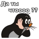 😲