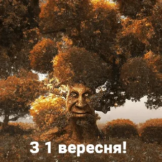 👀