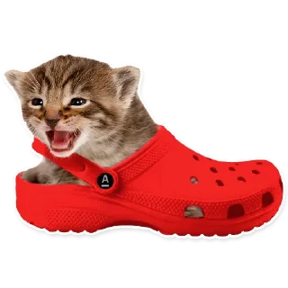 👞