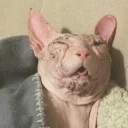 😋