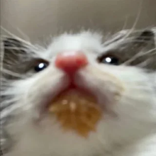 😵