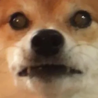 👀