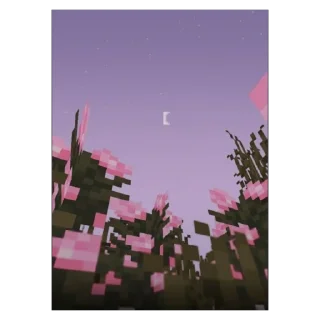 🫥
