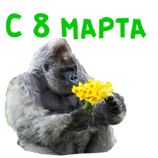 🌼