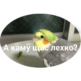 🥵