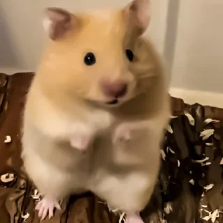 😵