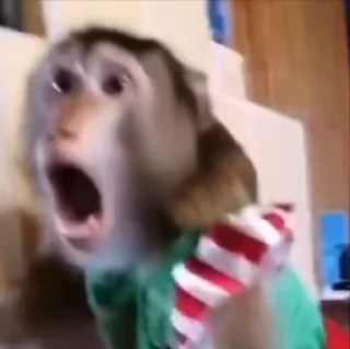 🤩