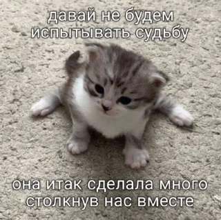 🫢